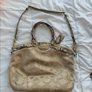 Large Snake Print and Gold Coach Bag
